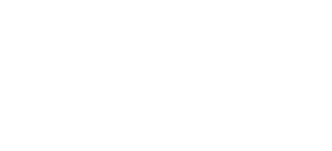 Toshiba Logo White-01